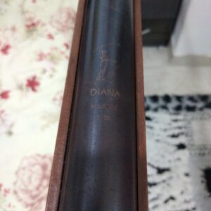 دیانا 36 تیپ 6