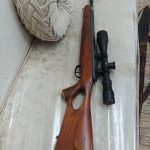 بنجامین پنجو نیم