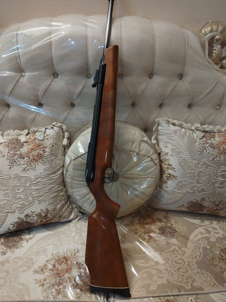 دیانا ۵۴ اصل آلمان