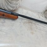 بنجامین پنجو نیم