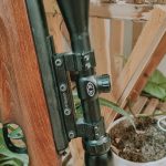 دیانا ۴۷۰ در حد