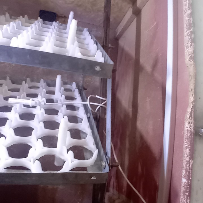 دستگاه جوجه کشی دست ساز ۸۴ تایی