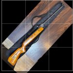 تفنگ بادی تند باد