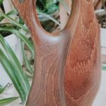 دیانا ۴۷۰ در حد