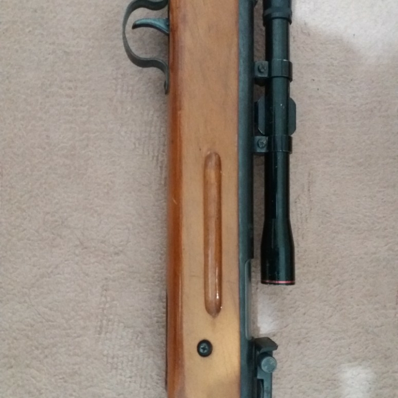 تفنگ بادی ۵.۵بادوربین دیانا