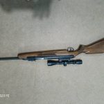 تفنگ دیانا مدل ۵۴