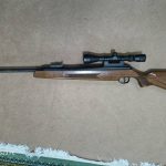 تفنگ دیانا مدل ۵۴