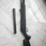 پی سی پی والتر