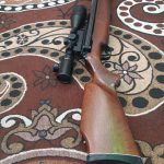 دیانا54 المانی