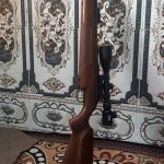 دیانا54 المانی