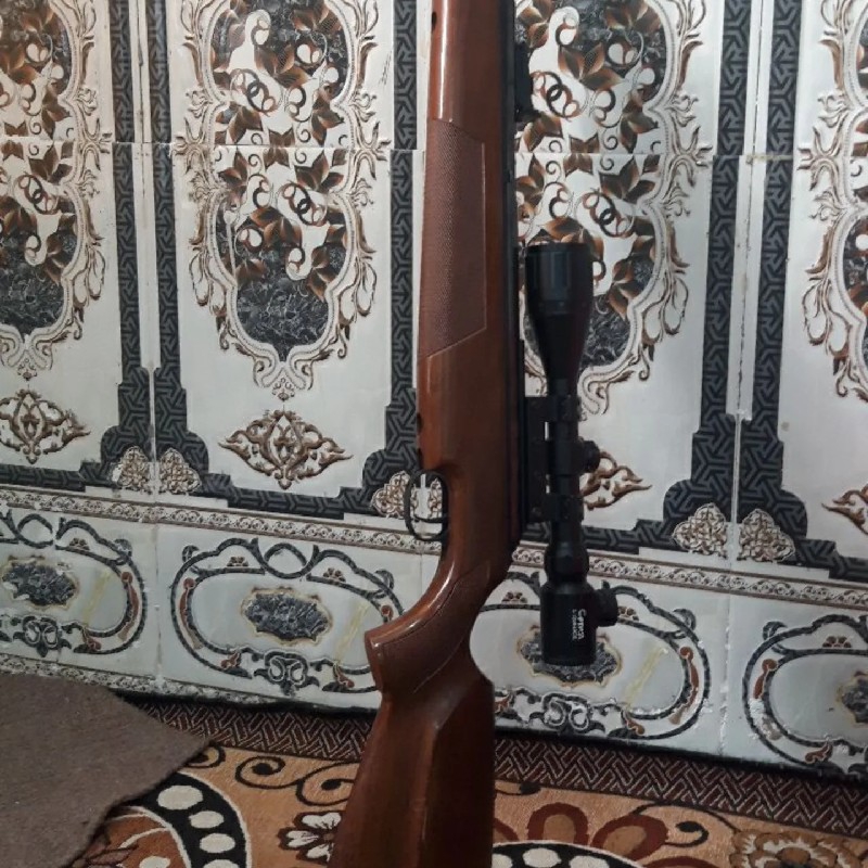 دیانا54 المانی