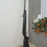 کرال مگنوم ۵،۵