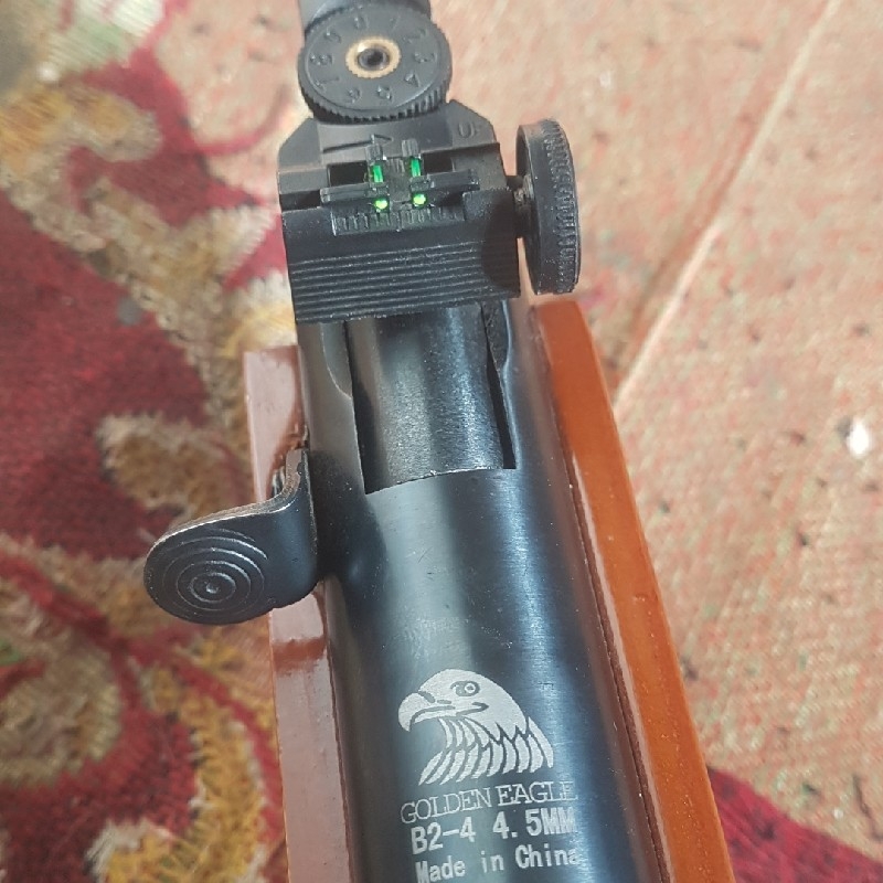 بادی چینی نو