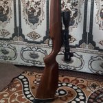 دیانا54 المانی