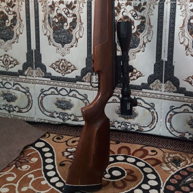 دیانا54 المانی