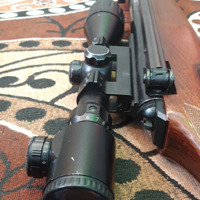 دیانا54 المانی