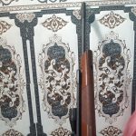 دیانا54 المانی