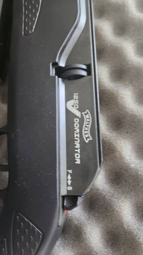 پی سی پی والتر