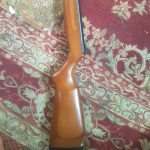 بادی چینی نو