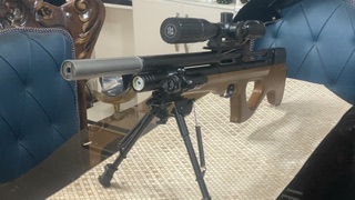 تفنگ پی سی پی