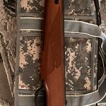 نوريكا در حد اكبند