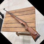 دیانا مگنوم ۳۵۰ آکبند