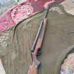 دیانا ۵۲ قدیمی