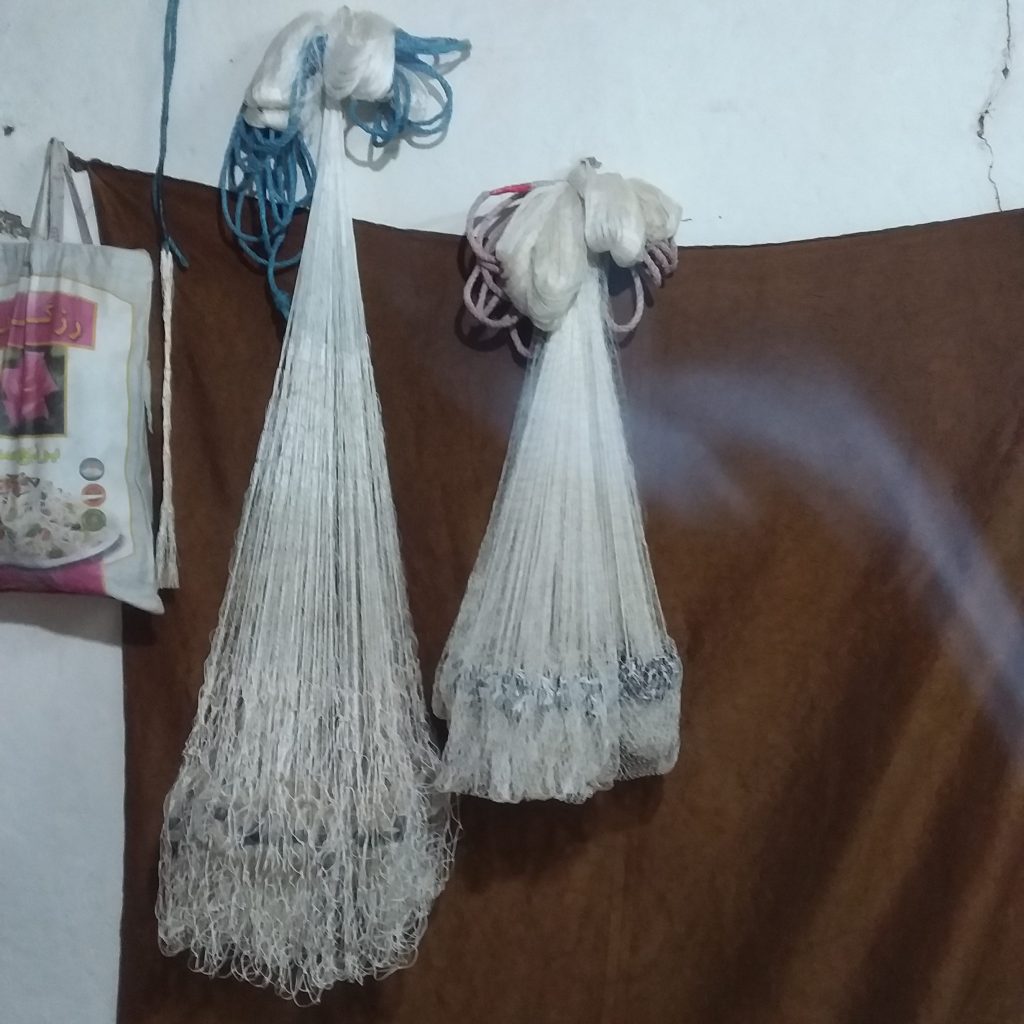 تورماهیگیری پرتابی حرفه ای(ساَلی)