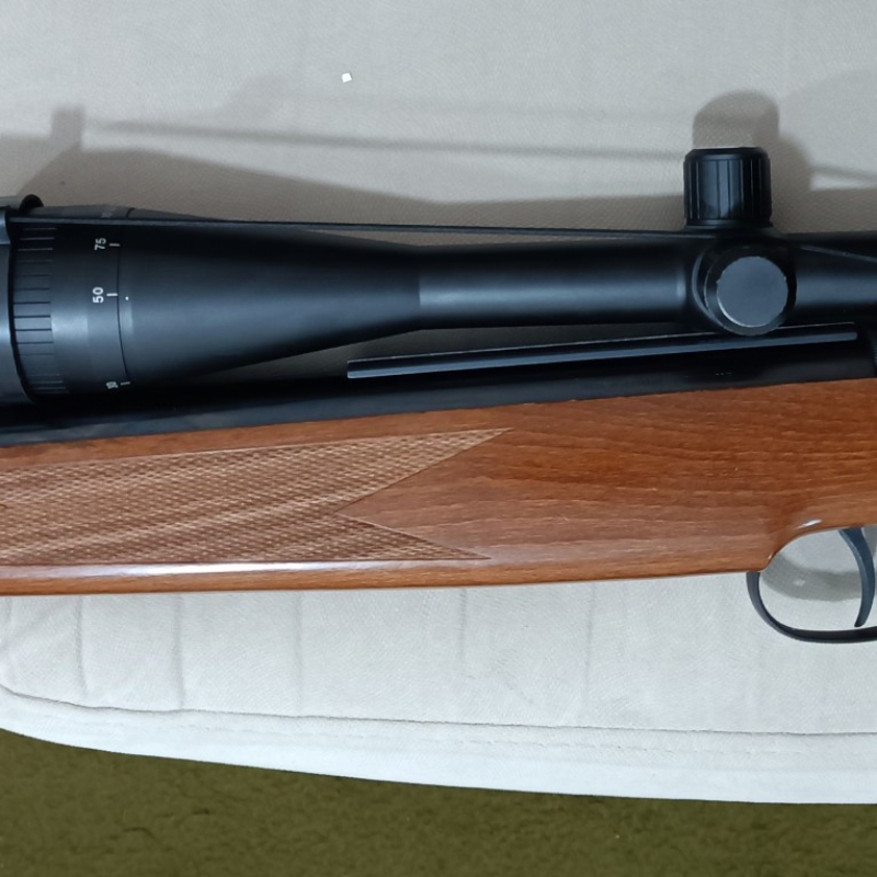 تفنگ بادی دیانا مگنوم ۳۵۰ اصل المان