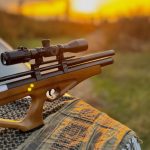 تفنگ p10 درحد