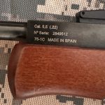 نوريكا استروم در حد اكبند