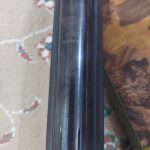 گامو پنج و نیم