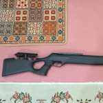 حراج ويژه تفنگ بادی کرال n11