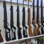 هاتسان کرال گامو شانگهای دیانا وایرخ