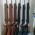 هاتسان کرال گامو شانگهای دیانا وایرخ