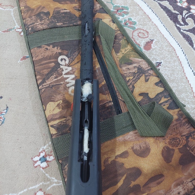 گامو پنج و نیم