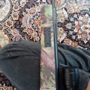تفنگ بادی آرتمیس