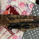 پی سی پی کرال