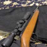 دیانا ۳۵ المانی