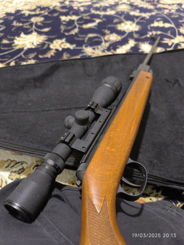 دیانا ۳۵ المانی