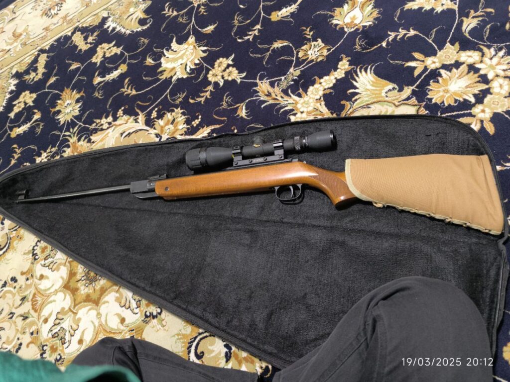 دیانا ۳۵ المانی