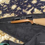 دیانا ۳۵ المانی