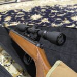 دیانا ۳۵ المانی