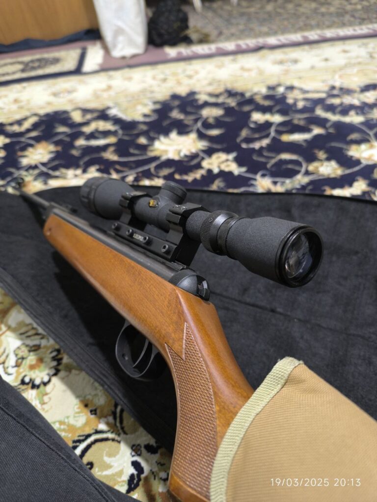 دیانا ۳۵ المانی