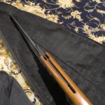 دیانا ۳۵ المانی