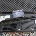 تفنگ پی سی پس هوگلو زئون پلمب کارت دار