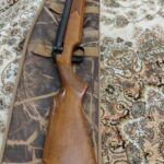 فروش دیانا ۵۲