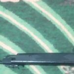 تفنگ بادی دیانا