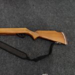 تفنگ بادی نو