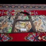 تفنگ pcp هوماک -پی ۵۰۱